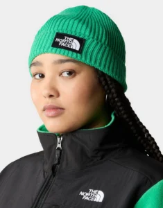 The North Face Logo Box Cuffed Beanie green